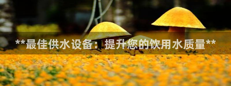 球友会聚餐发言简短