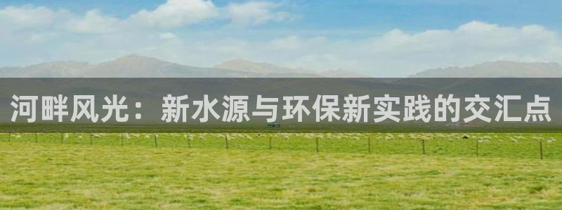 qy球友会体育官方平台