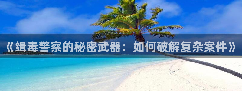 免费电子书下载久久小说网手机版：《缉毒警察的秘密武器：如何破解复杂案件》
