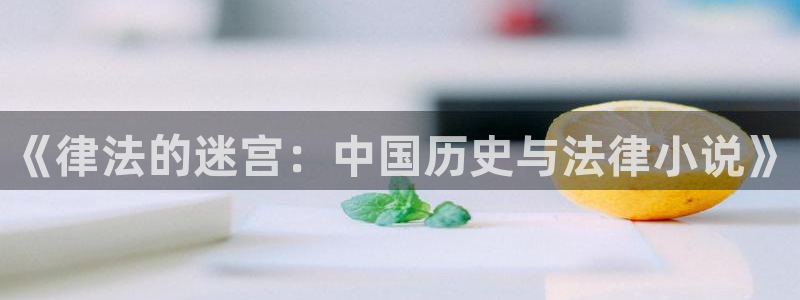 慕久久小说：《律法的迷宫：中国历史与法律小说》