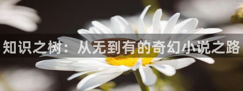 久久小说下载网穿越：知识之树：从无到有的奇幻小说之路