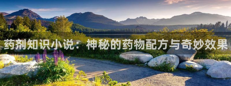 久久小说下载网txt小说下载：药剂知识小说：神秘的药物配方与奇妙效果