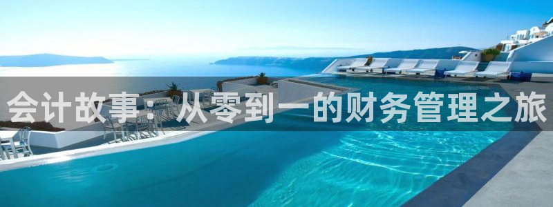 久久小说网txt电子书免费下载：会计故事：从零到一的财务管理之旅