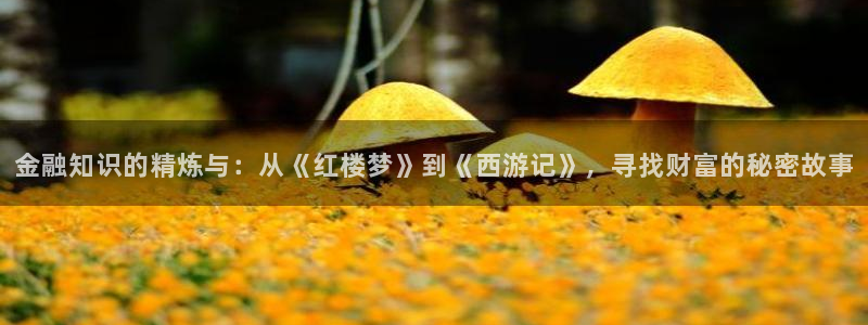 久久小说网穿越版：金融知识的精炼与：从《红楼梦》到《西游记》，寻找财富的秘密故事